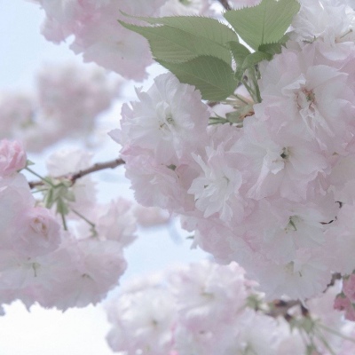 兽设Q版设计教程福瑞交流群